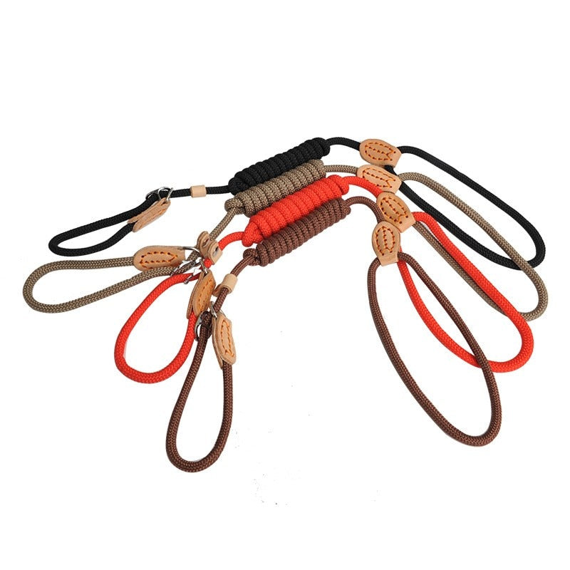 Dog Leash Slip Rope Collar