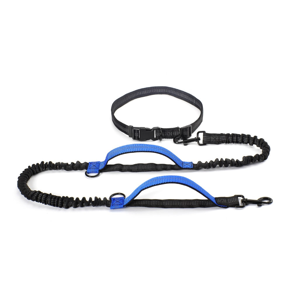 Dual Handle Bungee Leash