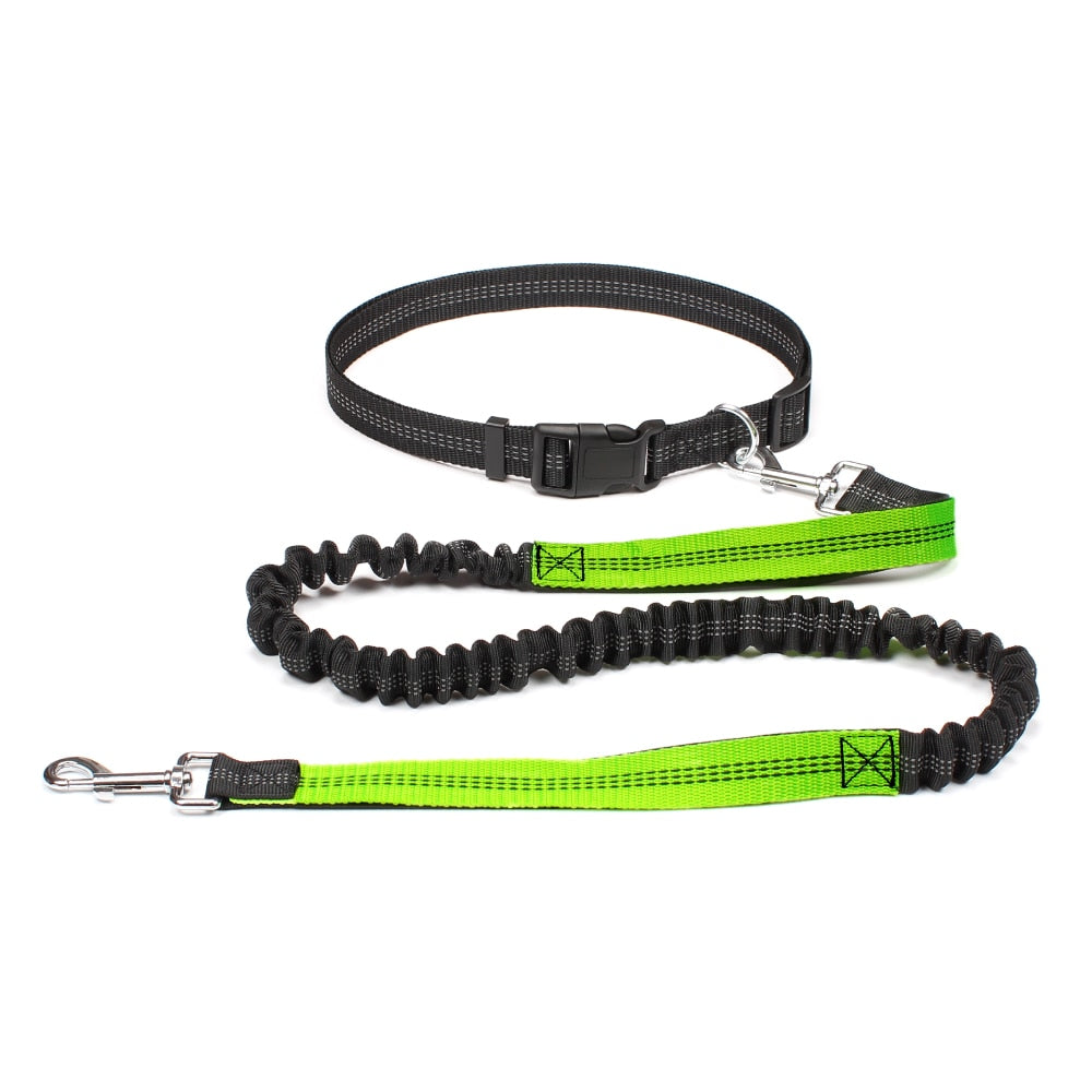 Dual Handle Bungee Leash