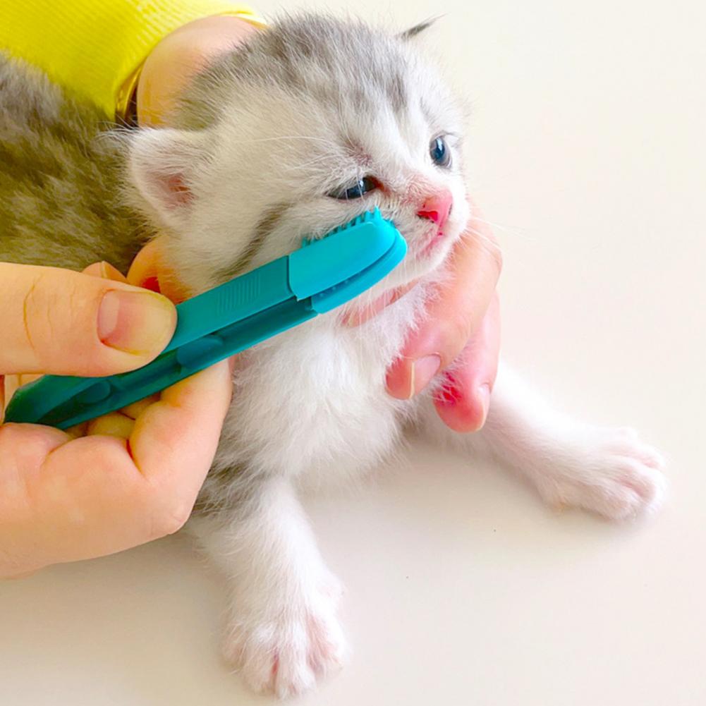 Pet Friendly Kitten Eye Brush