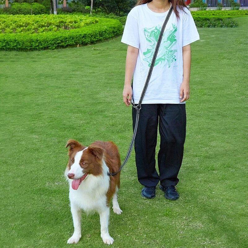 Hands Free Dogs Leash