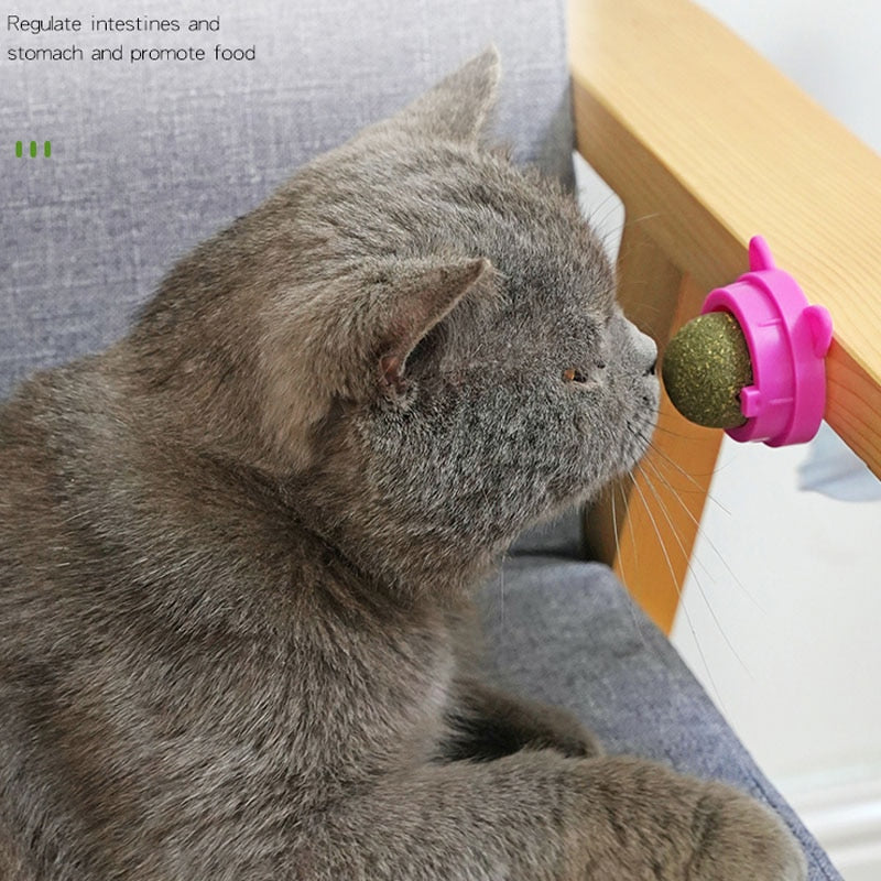 Cat Wall Stick-on Ball Toy