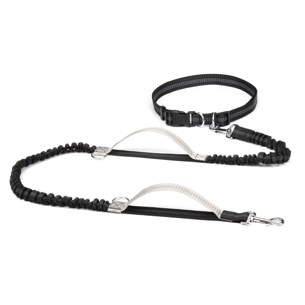 Dual Handle Bungee Leash