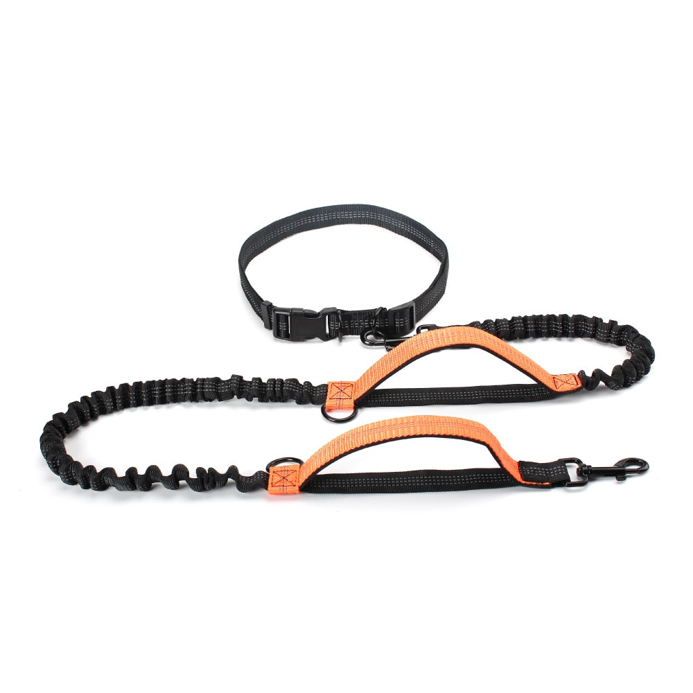 Dual Handle Bungee Leash