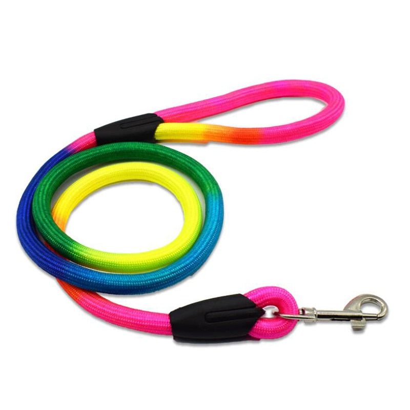 Nylon Rainbow Pet Leash